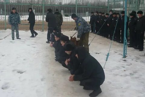 Смоленские колонии