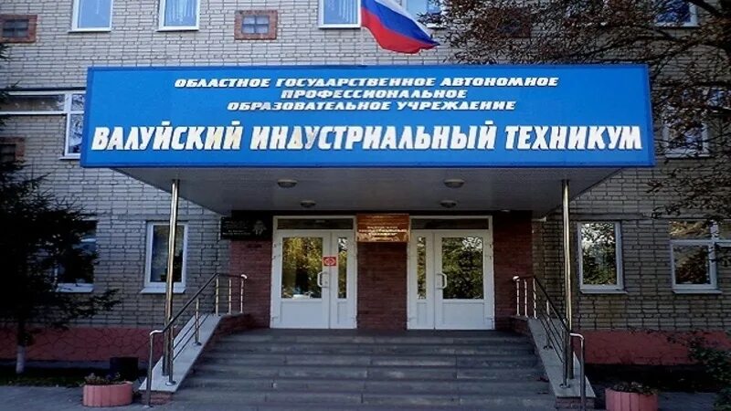 Валуйки педагогический колледж. Алексеевский колледж. Валуйский педагогический колледж. Ногинский колледж физра. Валуйки колледж.