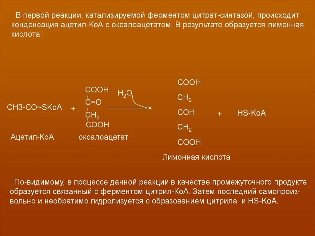 Реакция в 1 день