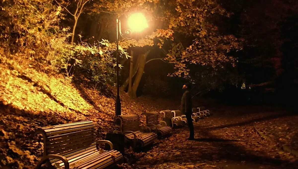 Осенний вечер. Осенняя ночь. Осень ночь. Осенний вечер в саду.