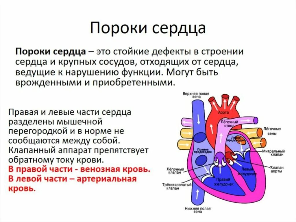 Аномалия это простыми. Доклад на тему пороки сердца.