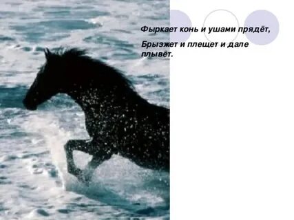 Конь эпитеты