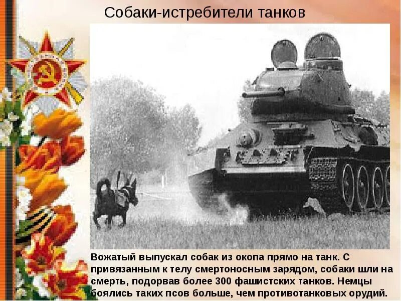 Интересные факты о войне 1941 1945