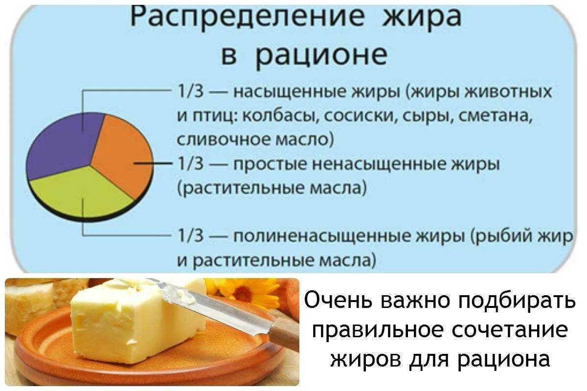 Жиры в пищевом рационе в процентах