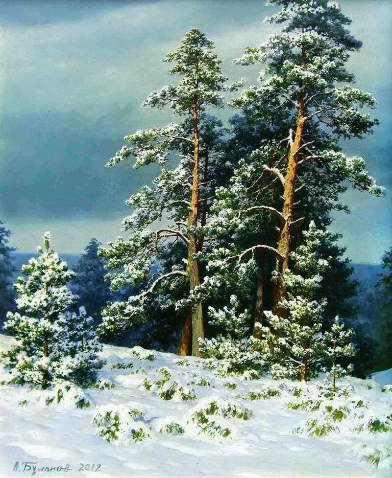 Картины художников ели. Художник булаков александр владимирович. русский художник булаков александр владимирович. заповедный край. булаков александр владимирович художник картины. булаков александр художник пейзажи.