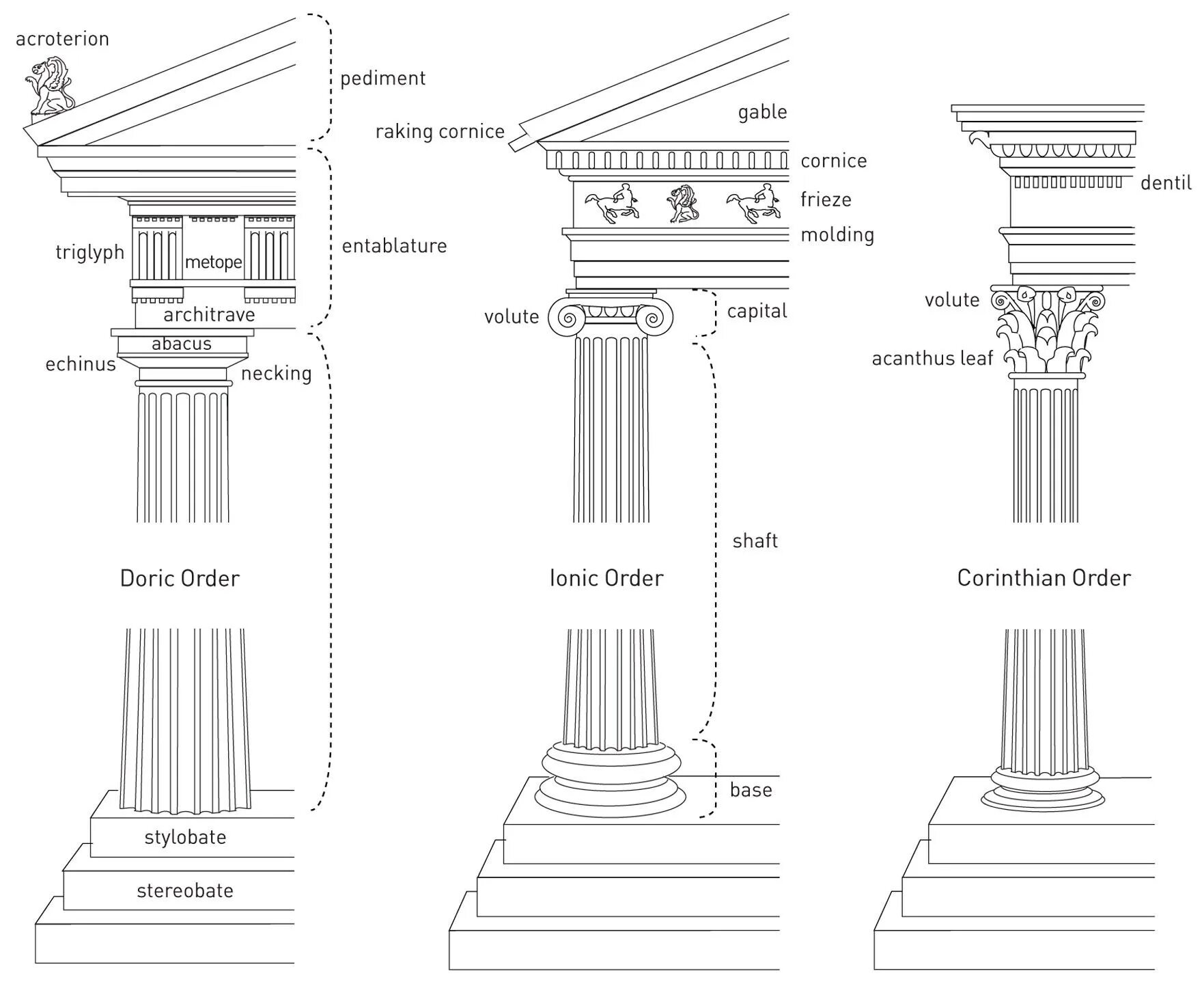 Арбитражные ордеры. Дорический и ионический ордера в архитектуре древней Греции. Ионический ордер в архитектуре древней Греции. Дорический ионический и Коринфский ордера. Коринфский ордер в архитектуре древней Греции схема.