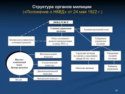 Взаимодействие полиции с органами государственной власти