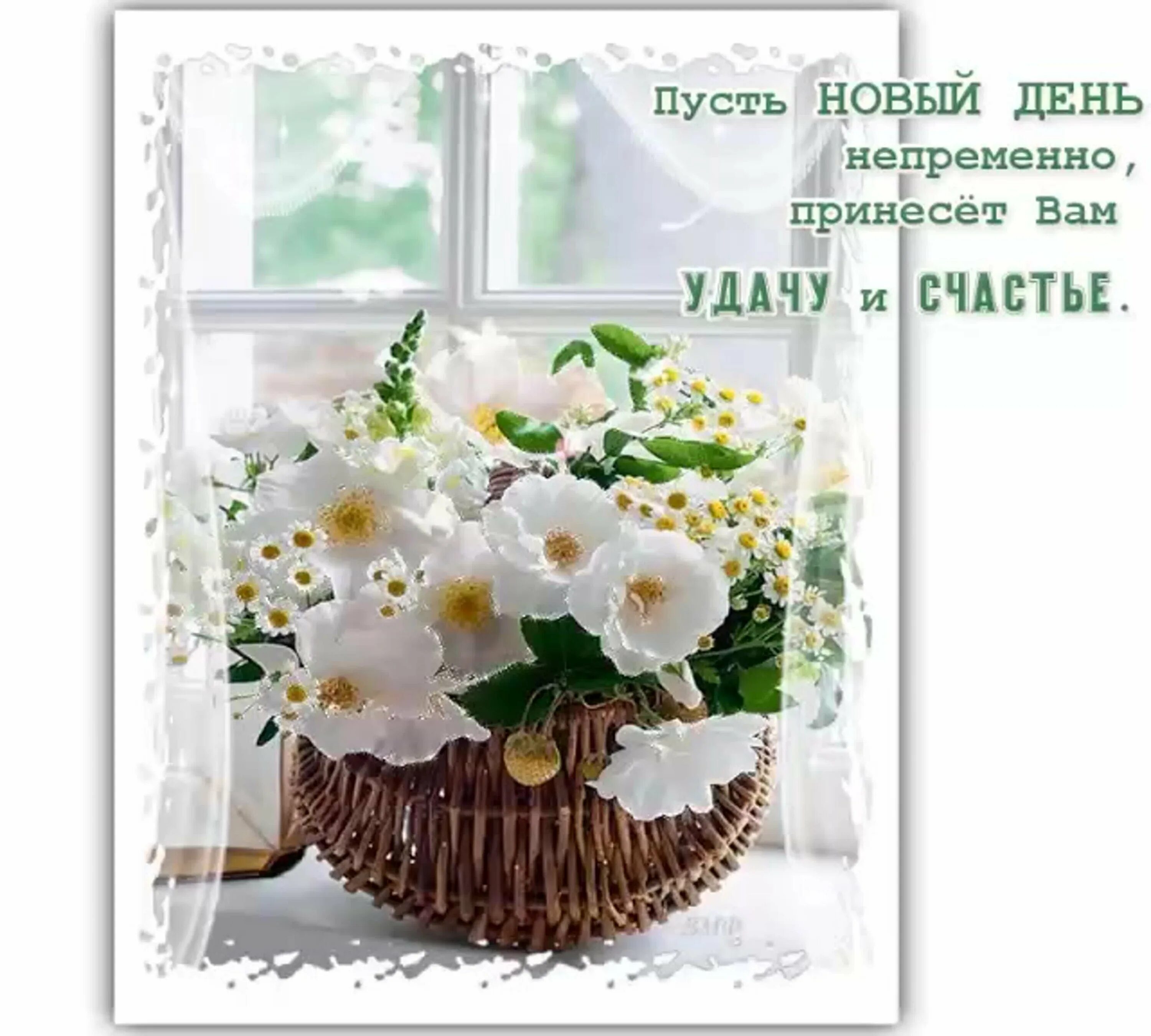 Pin en Доброе утро! Cumpleaños