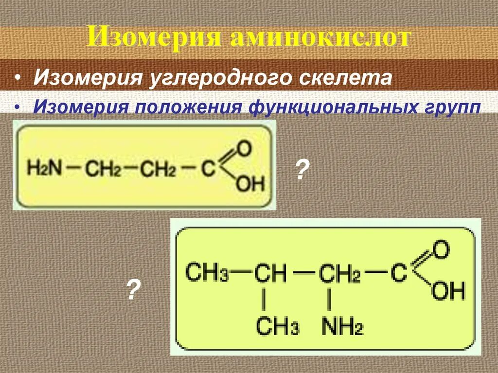 Изомерия углеродного скелета аминокислот. Изомерия углеродного скелета Аминов. Углеродный скелет аминокислот. Изомерия положения функциональной группы аминокислот. Изомерия аминов