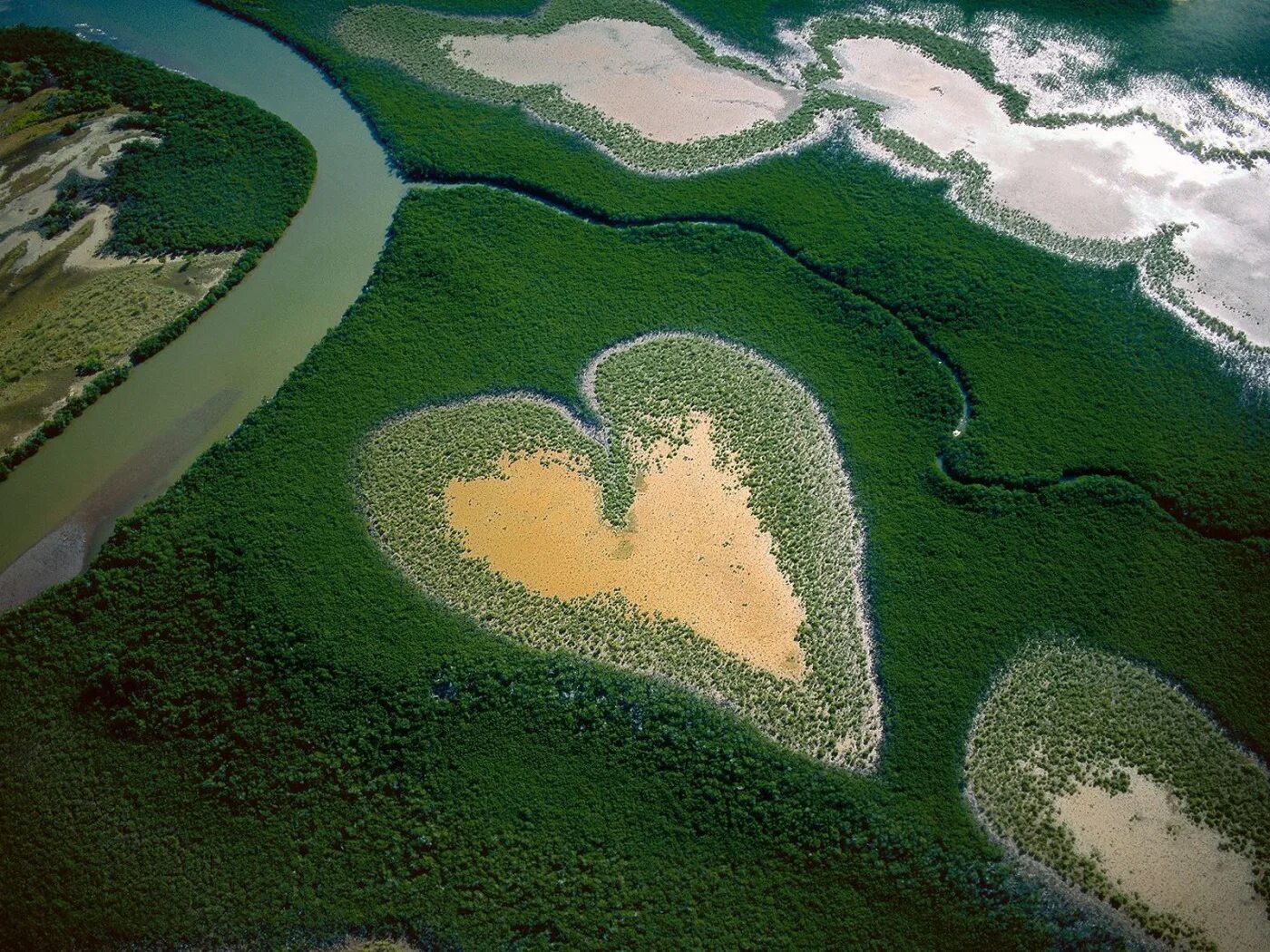 Самая теплая река в мире. Yann Arthus-Bertrand. Мангровый лес в новой Каледонии.