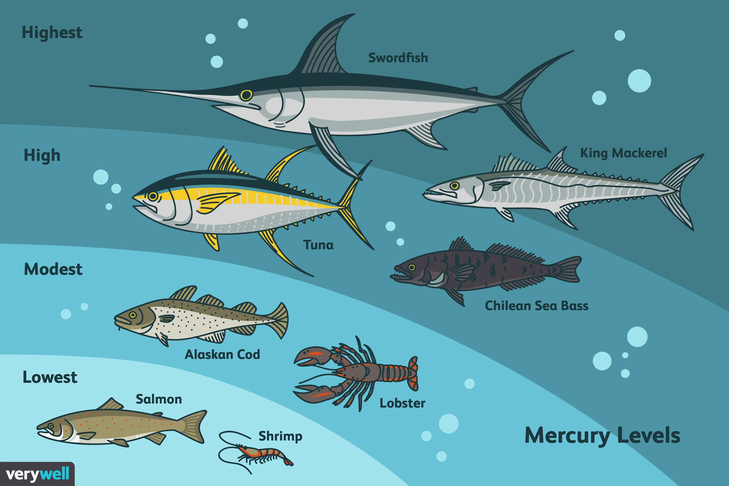 Почему рыба вредна. Метилртуть в рыбе. Содержание ртути в рыбе. Содержание тяжелых металлов в рыбе. Ртуть в рыбе.