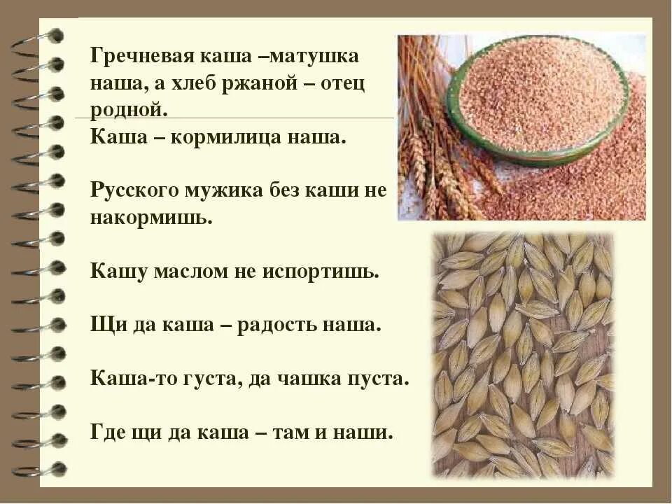 Из каких зерен делают крупы. Крупы. презентация на тему крупы. тема крупы. каши из круп.