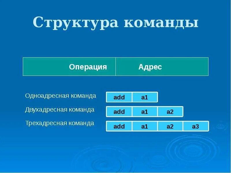 Искомое команда. Двухадресная команда. Одноадресная команда. Трехадресная команда. Приведите примеры команд одноадресных двухадресных Трёхадресных.