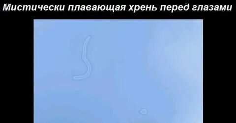 Плавает в глазах