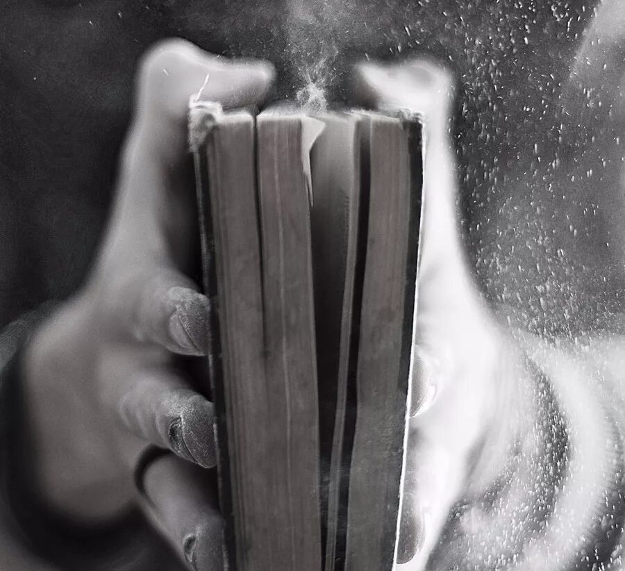 Пыль души. Книга пыли. сдувает пыль с книги. книга в руках. закрыть книгу.
