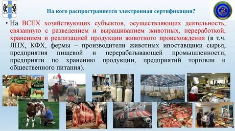 Реализация продукции животного происхождения