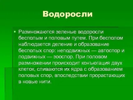 7 класс конспект размножение водорослей