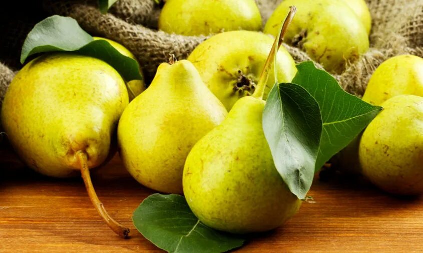 Груша пакхам фото. Груша красивая. Груша утром. Яблоки и груши. Груша и лимонник.