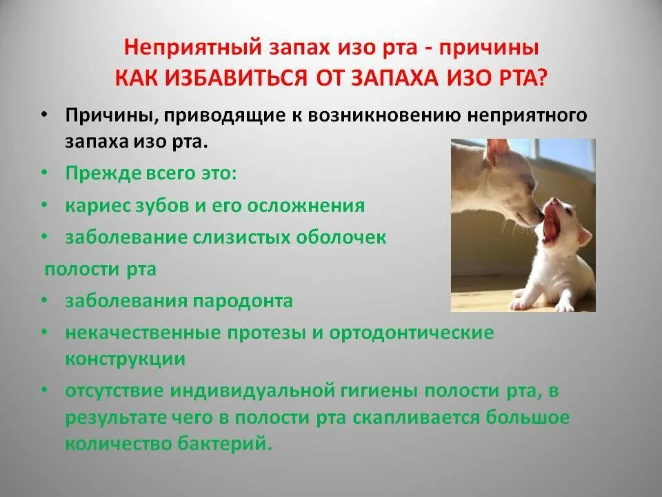 Утром воняет изо рта. Пахнет изо рта причины. Плохо пахнет изо рта причины. Запах из зо рта.