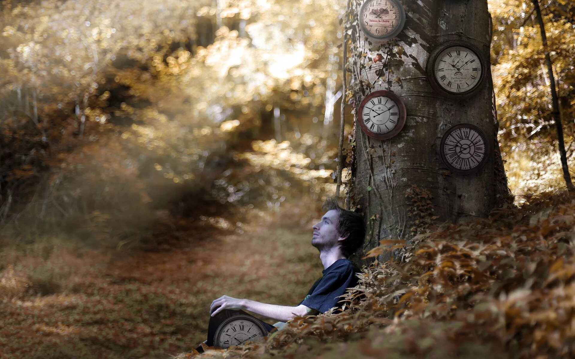 Время на природе со своей. Часы в лесу. Осень одиночество. Человек в лесу.