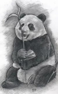 Visual pandas