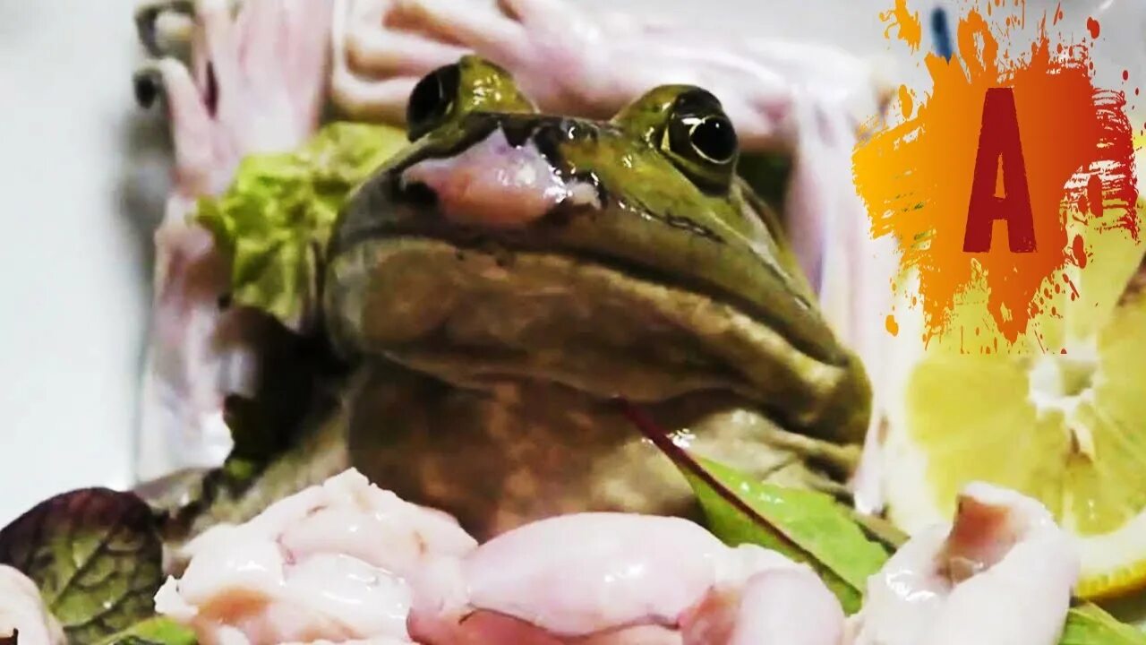Лягушка которую едят