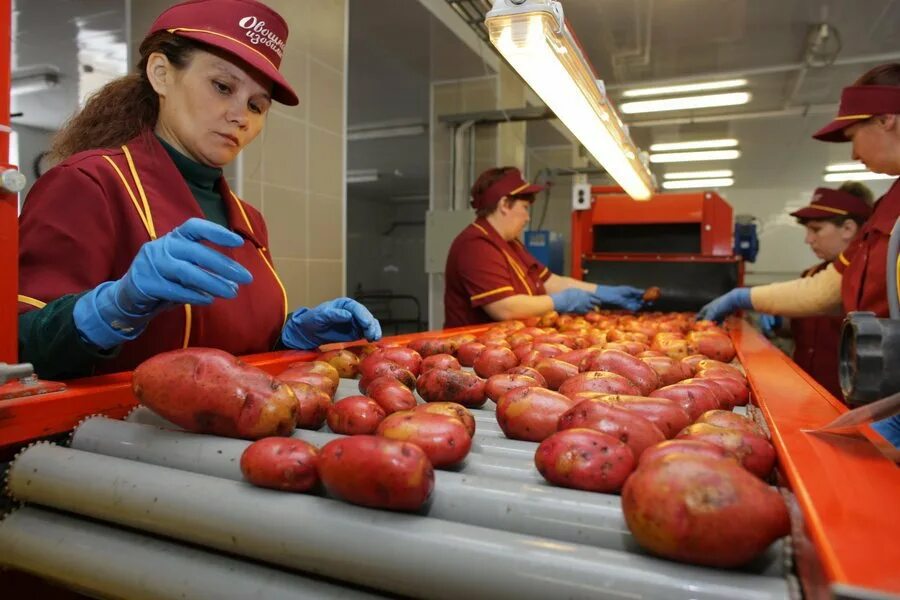 вакансии женщина 15 15 москва. упаковщики на склад вахта. упаковщик вахта. охрана вахта москва. упаковщики с проживанием и питанием.