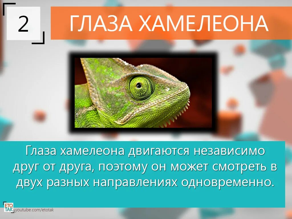 Числа хамелеон