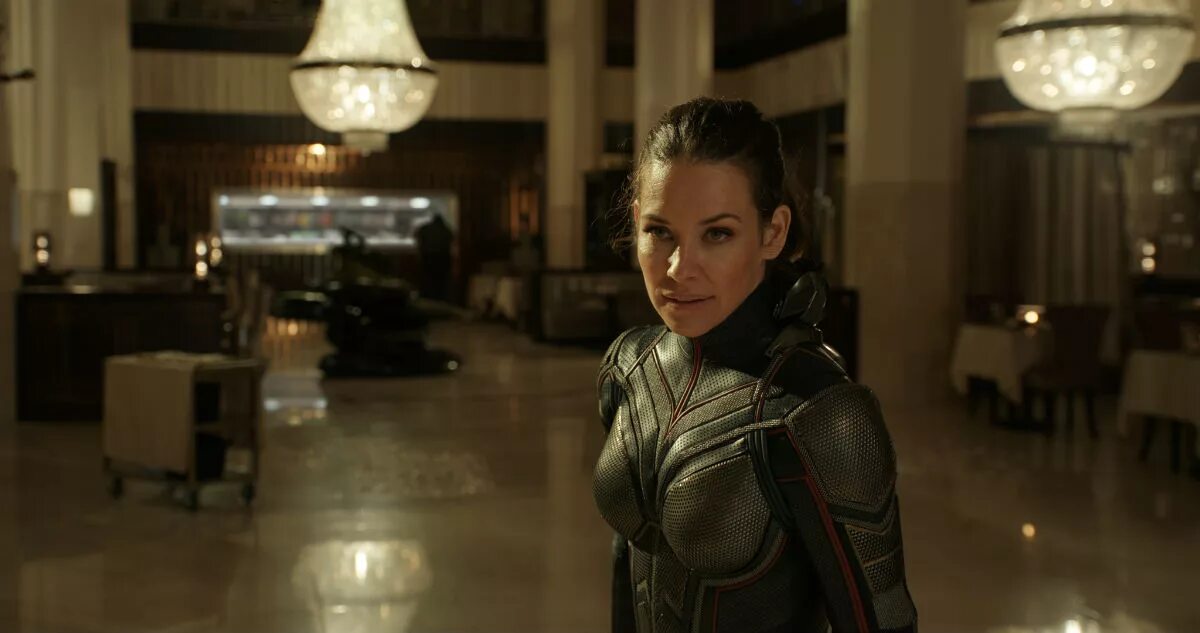 The wasp 2025