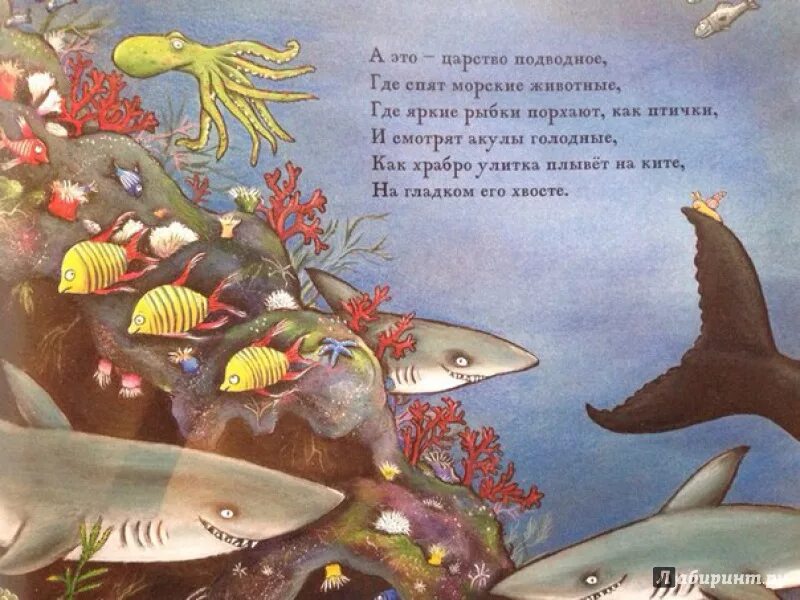 Как рыба в воде значение фразеологизма. Стихи про морских обитателей. Рассказ о рыбах 3 класс окружающий мир. Как рыба в воде значение фразеологизма. Морская песенка.