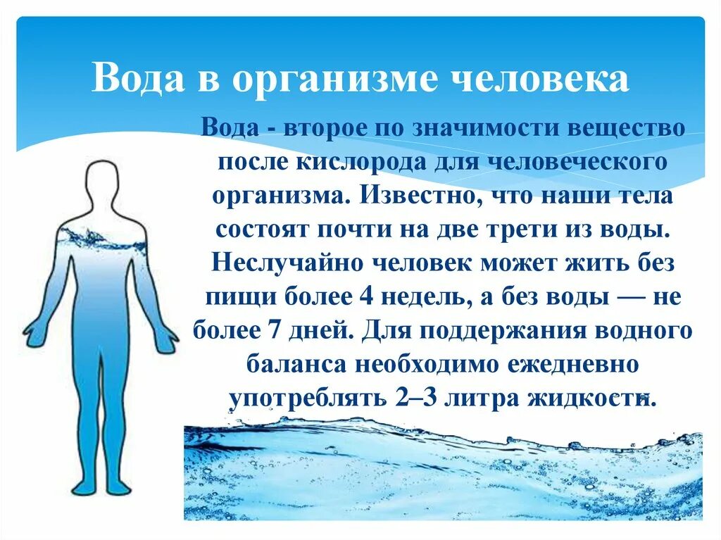 Человек на 75 состоит из воды. Важность воды для организма человека. Роль воды в организме человека. Вода в человеческом организме. Вода в жизни человека.