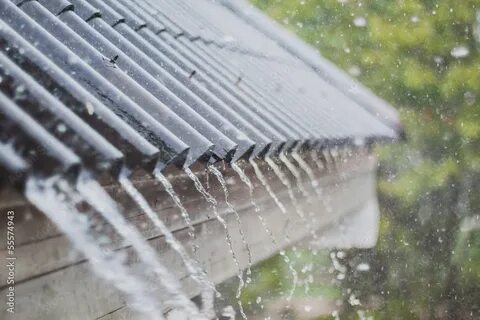 Крупные дождевые капли барабанили по крыше