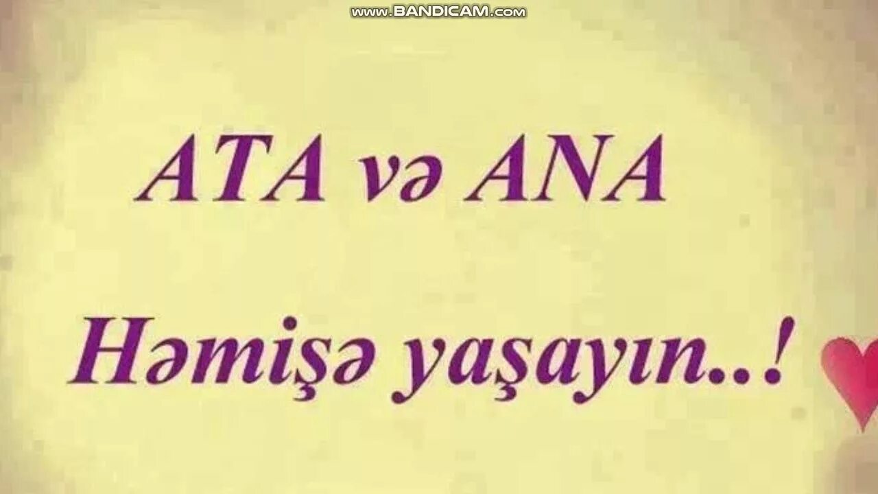Ataya aid. Ataya aid statuslar qemli. Ataya aid. Ата seiri. Ataya aid seir.