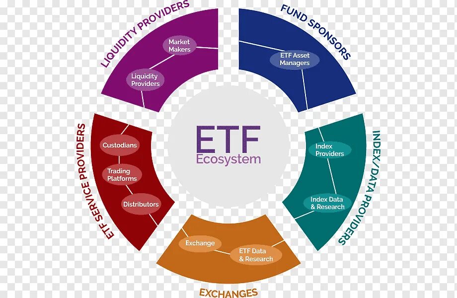 Etf что это и как работает. Etf фонды. биржевые инвестиционные фонды. биржевые фонды etf. etf что это простыми словами.