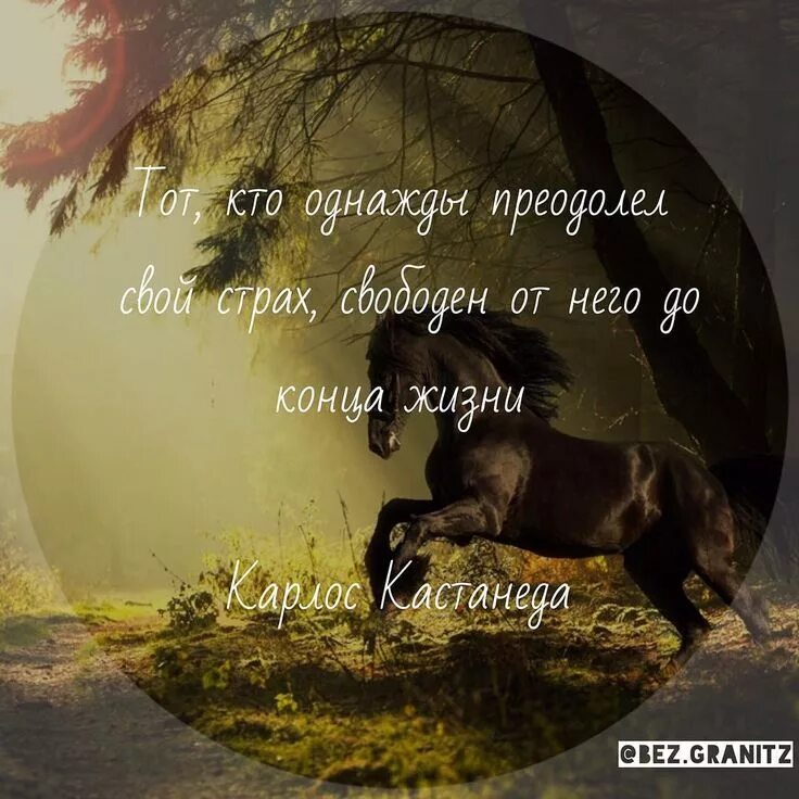 До конца своей жизни они будут находиться. Кастанеда цитаты. Карлос Кастанеда высказывания. Карлос Кастанеда афоризмы. Фразы Кастанеды.