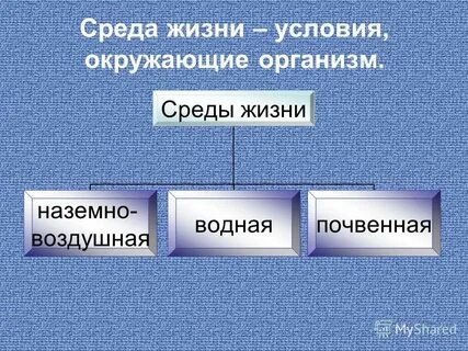 Отметь среду жизни