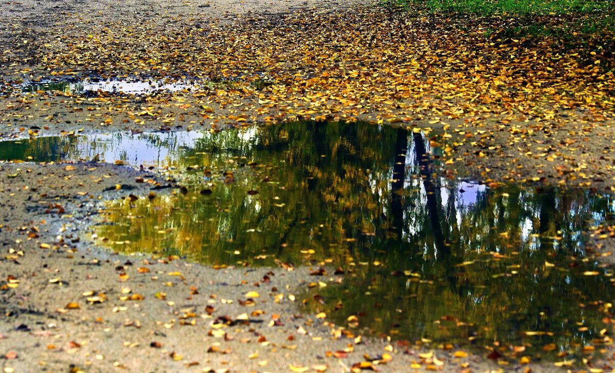 осень лужи. лужи осенью. осень лужи. осень лужи. красивая лужа.