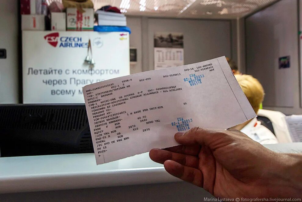 Собаку в самолет какие документы нужны. Животные с билетом на самолет.
