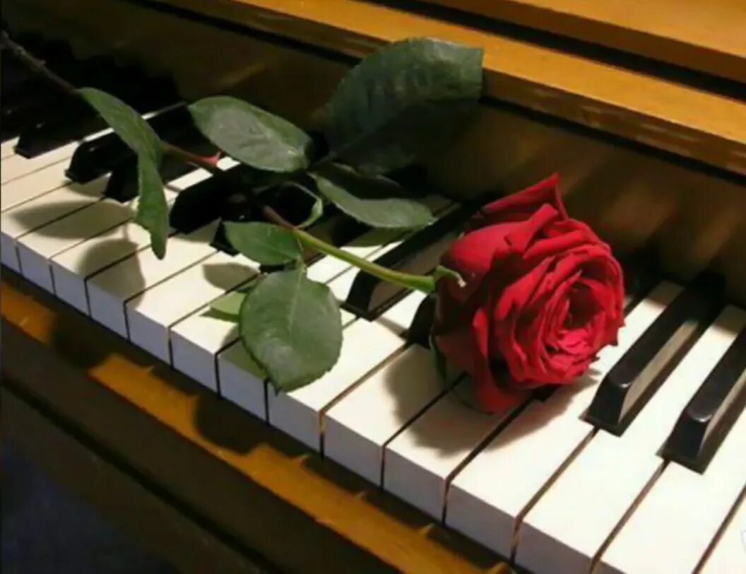 На клавишах тургенева. Цветы на рояле. Рояль с цветами. Фортепиано и цветы. Цветы на пианино.
