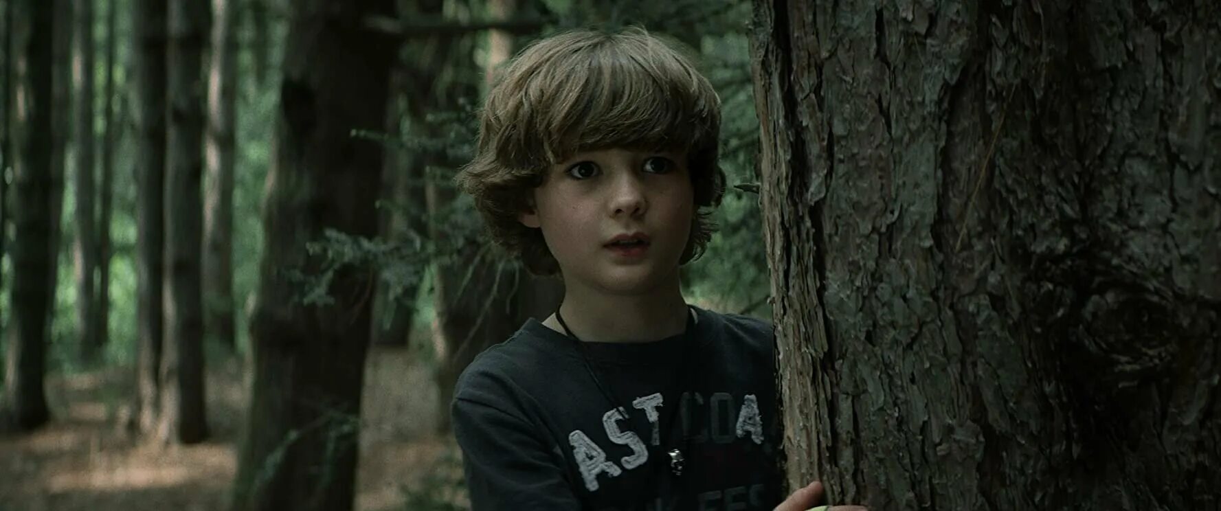 первая ведьма фильм 2018. первая ведьма / the wretched (2019). первые ведьма. первая ведьма 2020 кевин бигли. первые ведьма.