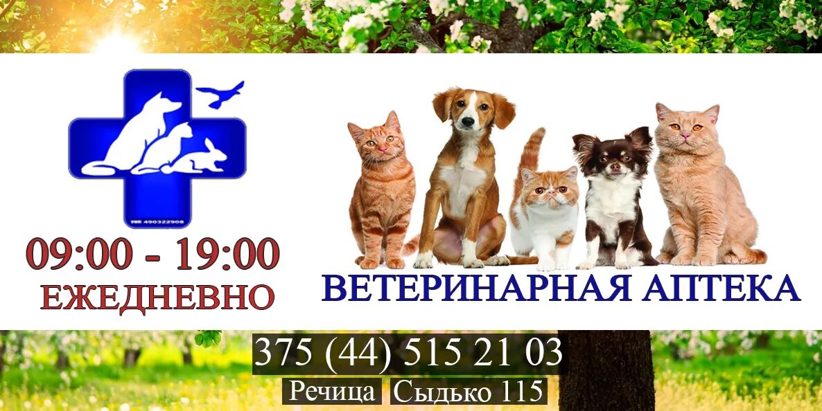 речица советская 83а. режим работы, служба одного окна. аптека альфа анапа официальный. аптека речица режим работы. аптека речица режим работы.