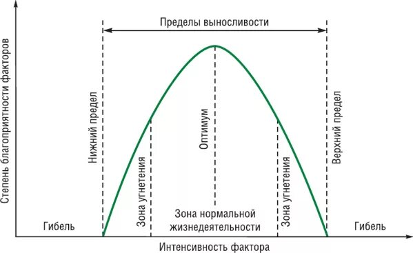Диапазон между минимумом и максимумом фактора. Схема действия факторов среды на живые организмы. закон оптимума схема. закон оптимума экология график. схема действия фактора среды на организм.