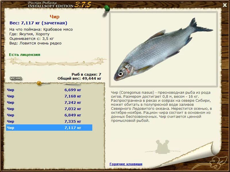 тунгуска рр4. русская рыбалка 4. водоросль реальная рыбалка. реальная рыбалка чир. реальная рыбалка чир.