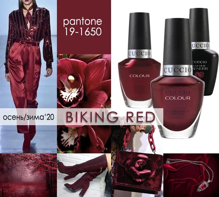 Как переводится red на русский. Pantone biking Red. Fired Brick Pantone. Biking Red. Pantone 19-1337.