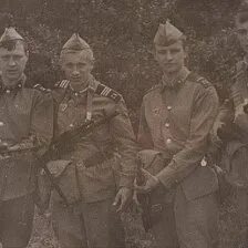 Однополчан гсвг