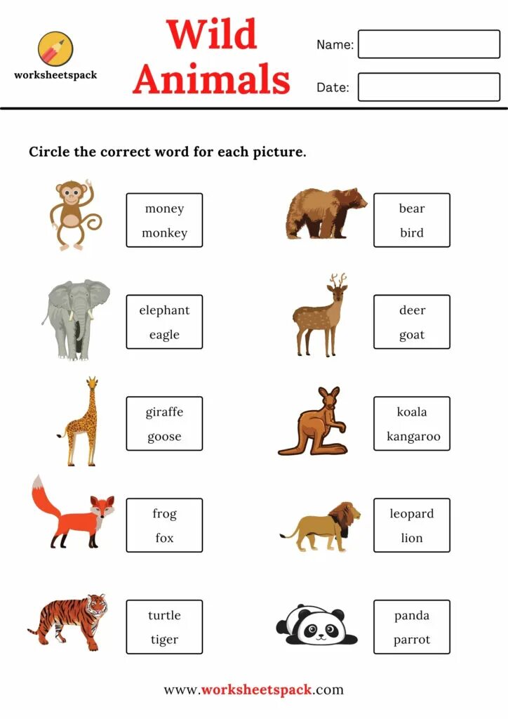 Animals Worksheets. Wild animals Worksheets. Animals Worksheets for Kids. Wild animals Worksheets for Kids matching. Wild animals worksheet