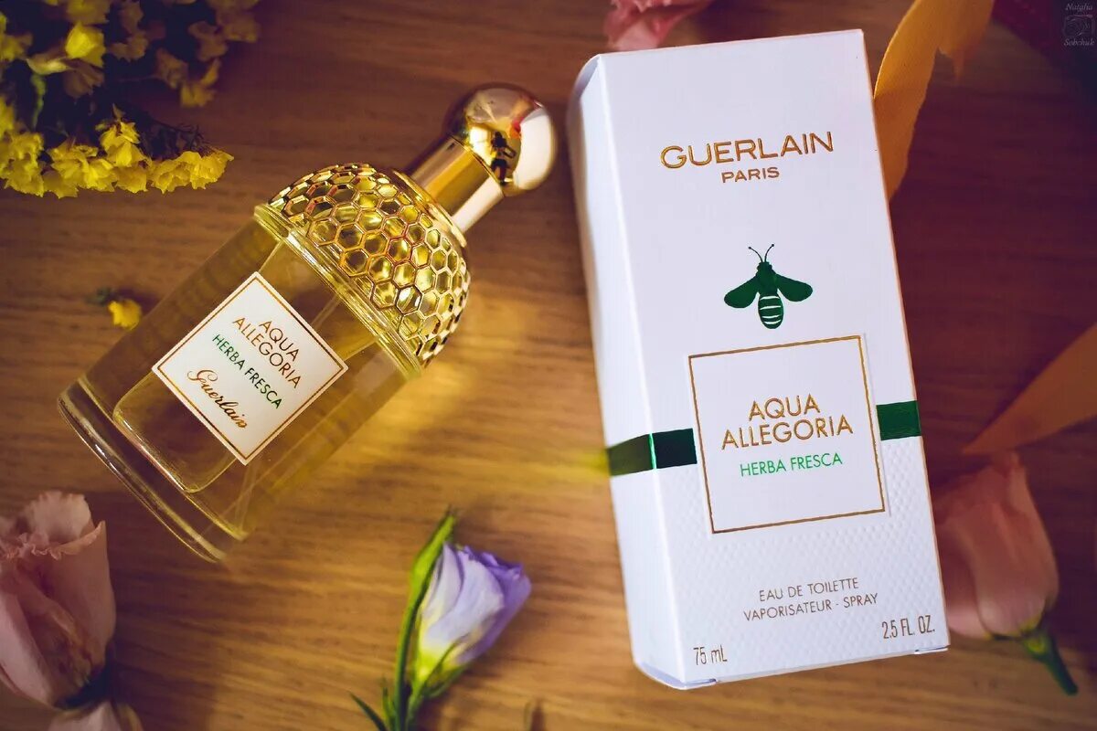 Guerlain aqua allegoria fresca. Духи Aqua Allegoria herba fresca. Guerlain Aqua Allegoria herba fresca. Аква аллегория Херба фреска. Guerlain Aqua Allegoria herba fresca реклама.