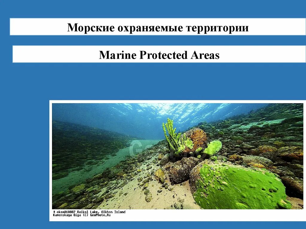 Морские охраняемые территории. Особо охраняемые морские территории черного моря. морские охраняемые природные акватории (мопа) фото. акиваку.