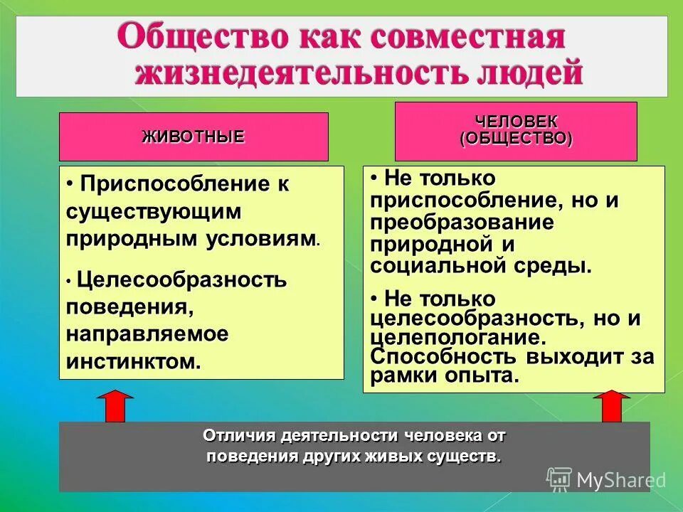 Общество как совместная жизнедеятельность