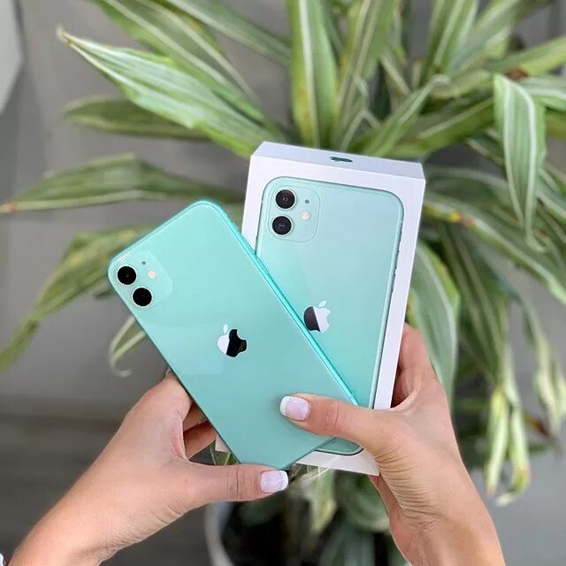 Айфон 11 128 гб. Айфон 11 128 гб цвета. Apple iphone 11 64гб зелёный. Мятный 11 айфон фото. Apple iphone 11 64gb зеленый.
